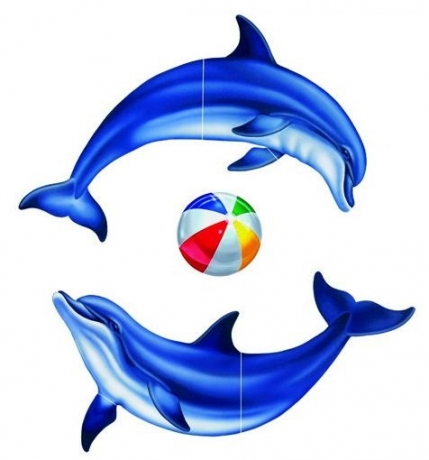 Víz alatti matrica Delfin csoport nagy K0016 Víz alatti matrica Delfin csoport nagy K0016